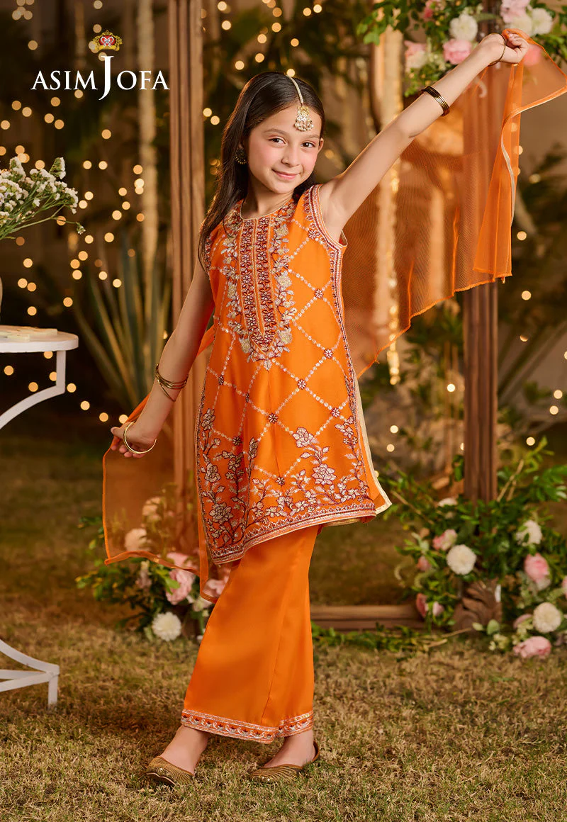 Asim Jofa Kids Pret Ajlk-06 Embroidered Poly Chiffon 3 Pcs - Image 7