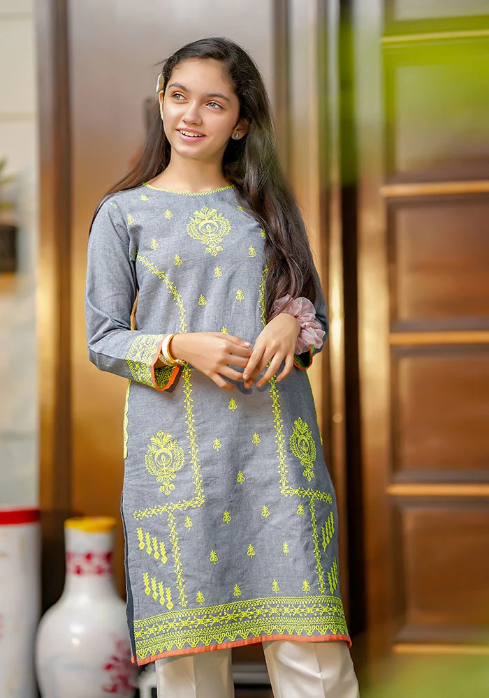 Ochre Clothing Chambray Embroidered Kurta - Image 4