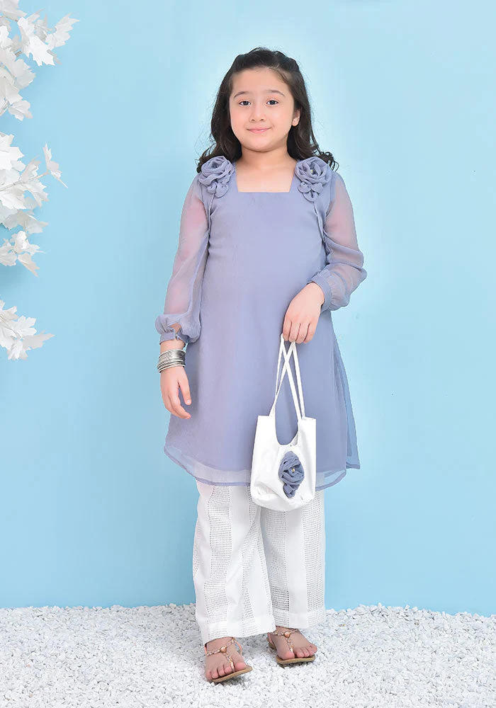 Ochre Clothing Chiffon 2 Pc Suit