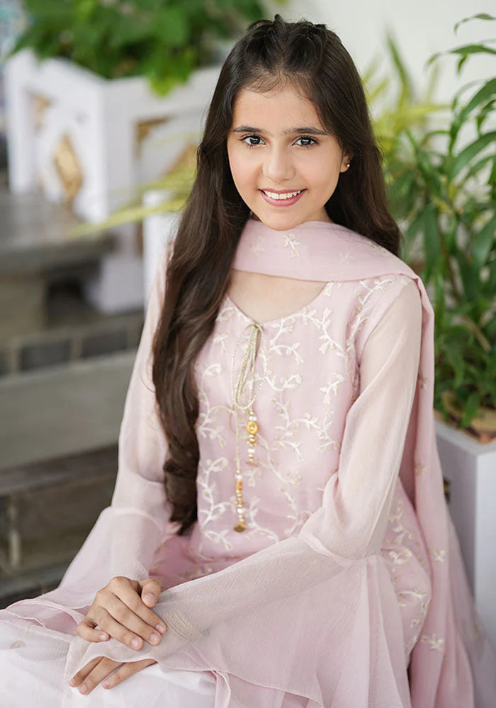Ochre Clothing Chiffon Embroidered 3 Pc Suit - Image 8