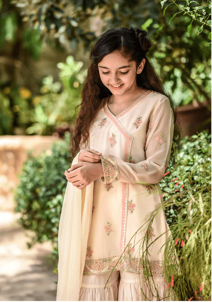 Ochre Clothing Chiffon Embroidered 3 Pc Suit - Image 2