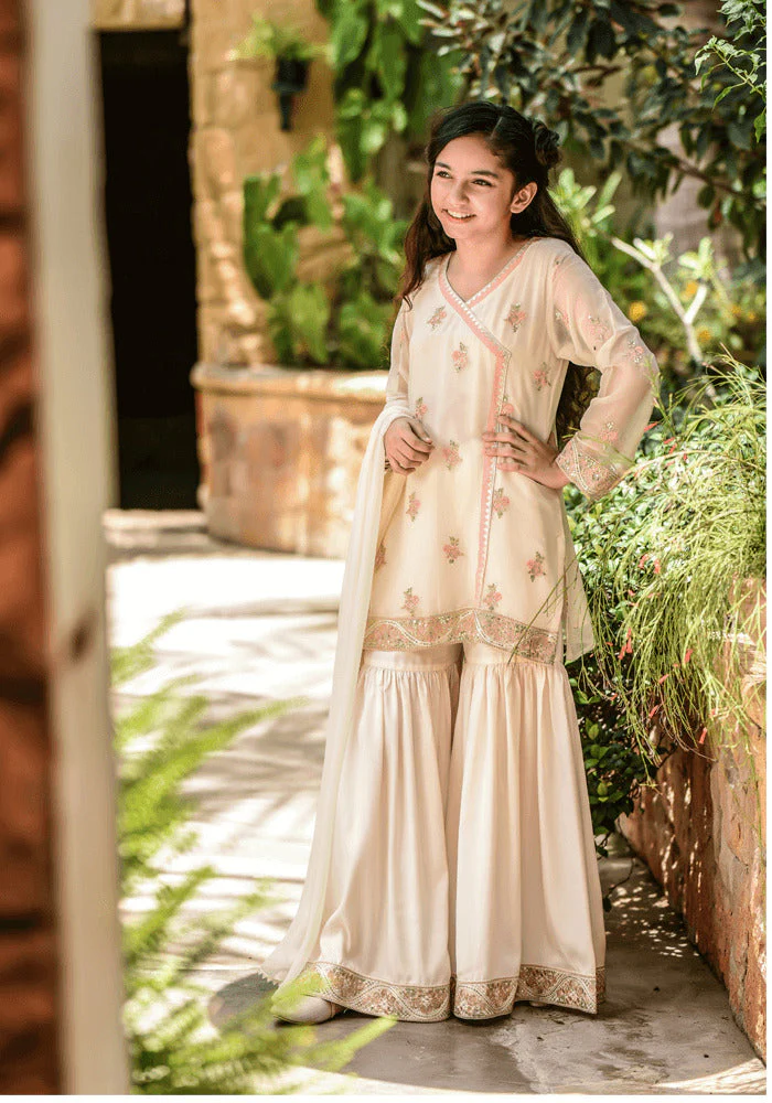 Ochre Clothing Chiffon Embroidered 3 Pc Suit - Image 3