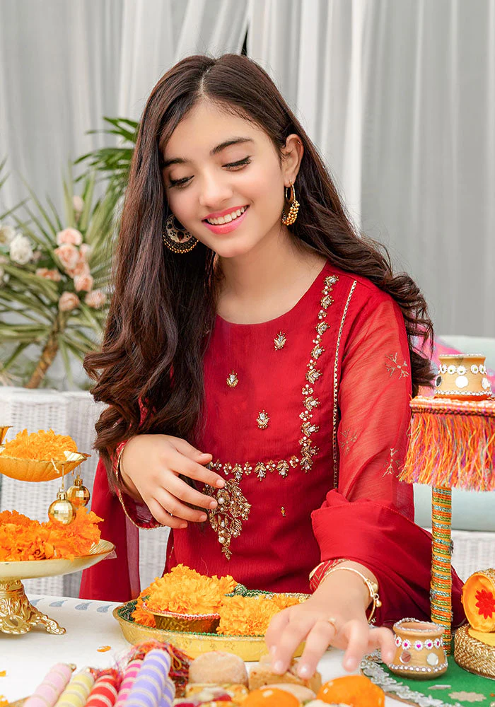 Ochre Clothing Chiffon Hand Adda Work 3 Pc Suit - Image 6
