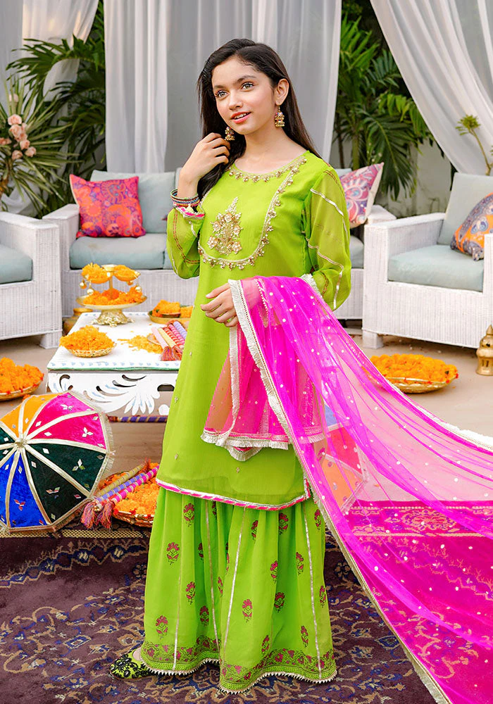 Ochre Clothing Chiffon Hand Adda Work 3 Pc Suit