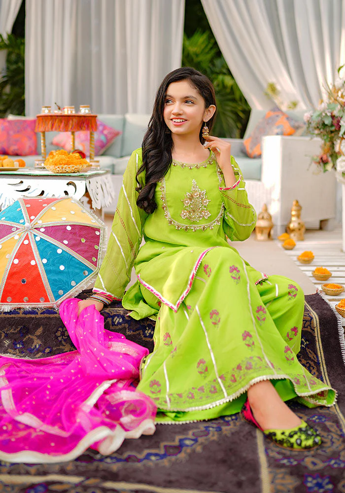 Ochre Clothing Chiffon Hand Adda Work 3 Pc Suit - Image 6
