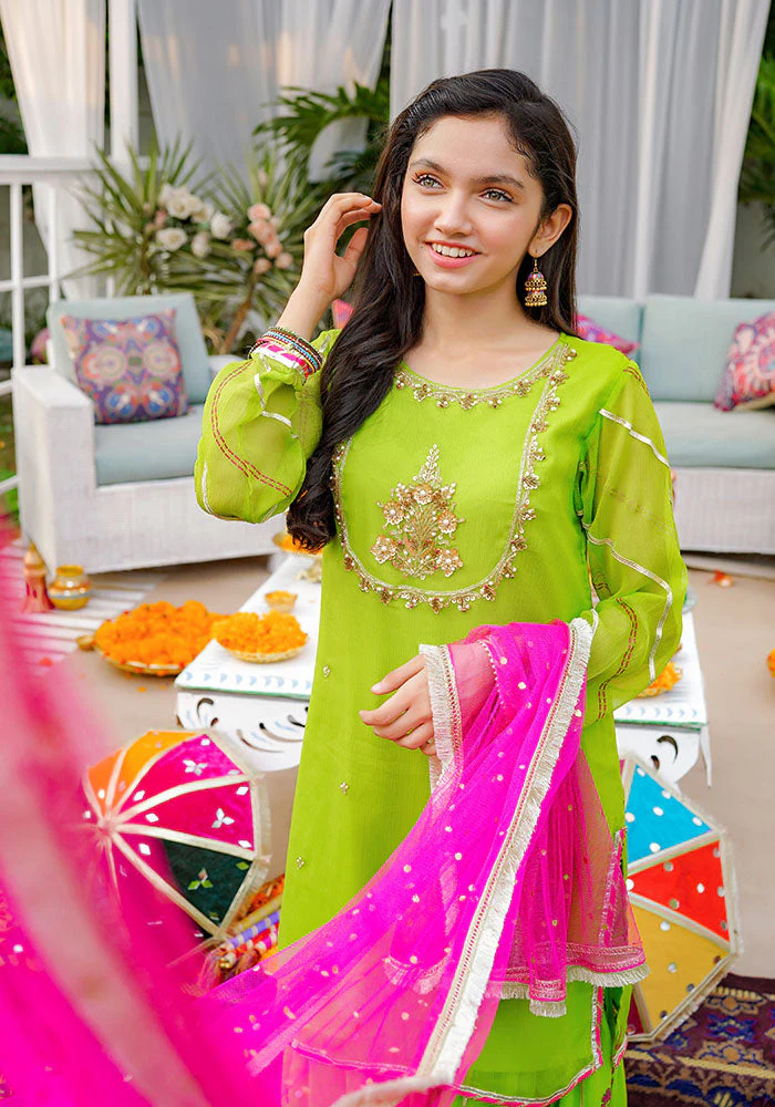 Ochre Clothing Chiffon Hand Adda Work 3 Pc Suit - Image 7