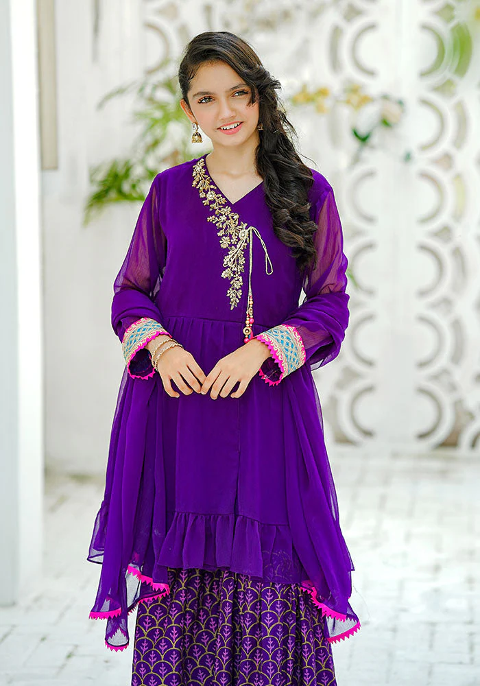 Ochre Clothing Chiffon Hand Adda Work 3 Pc Suit - Image 2
