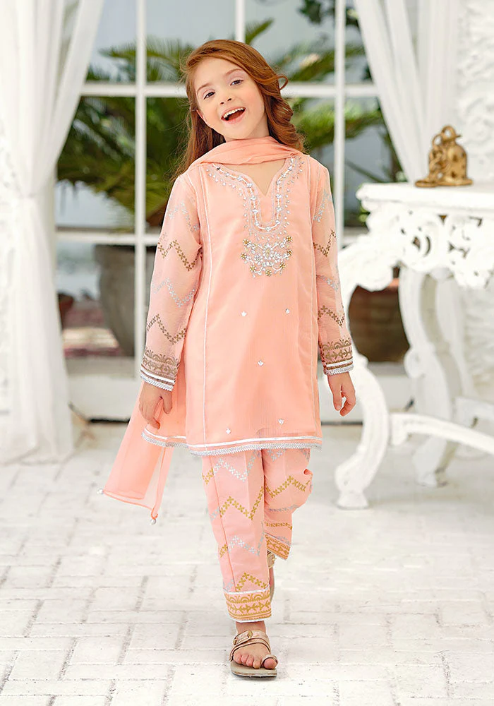 Ochre Clothing Chiffon Hand Adda Work 3 Pc Suit