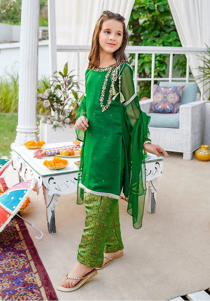 Ochre Clothing Chiffon Hand Adda Work 3 Pc Suit - Image 3