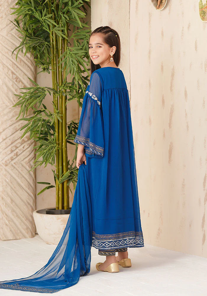 Ochre Clothing Chiffon Hand Adda Work 3 Pc Suit - Image 3