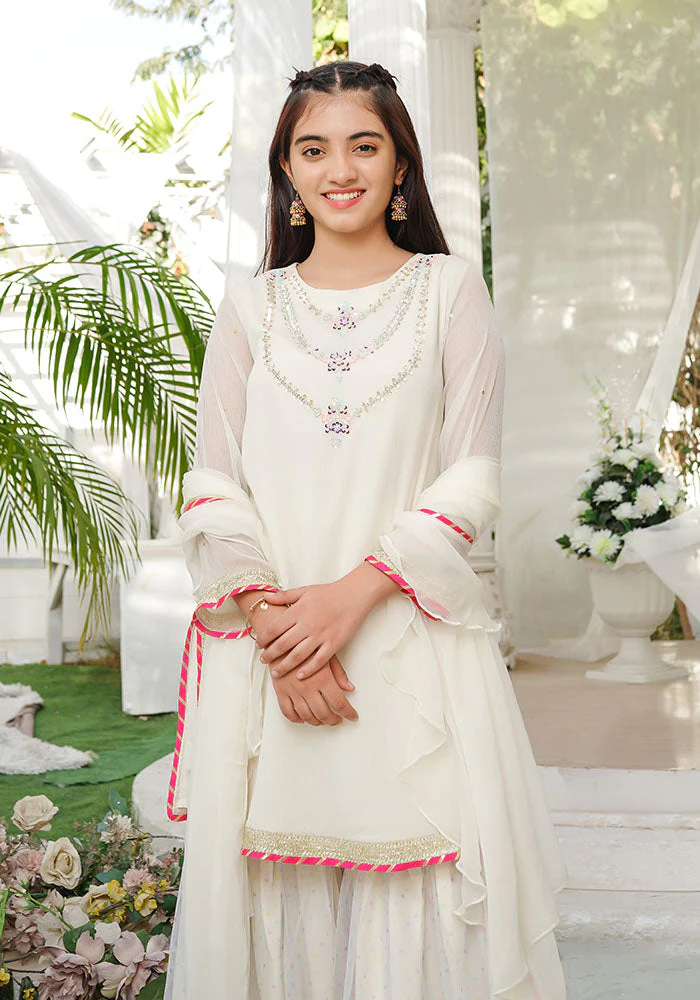Ochre Clothing Chiffon Hand Adda Work 3 Pc Suit - Image 5