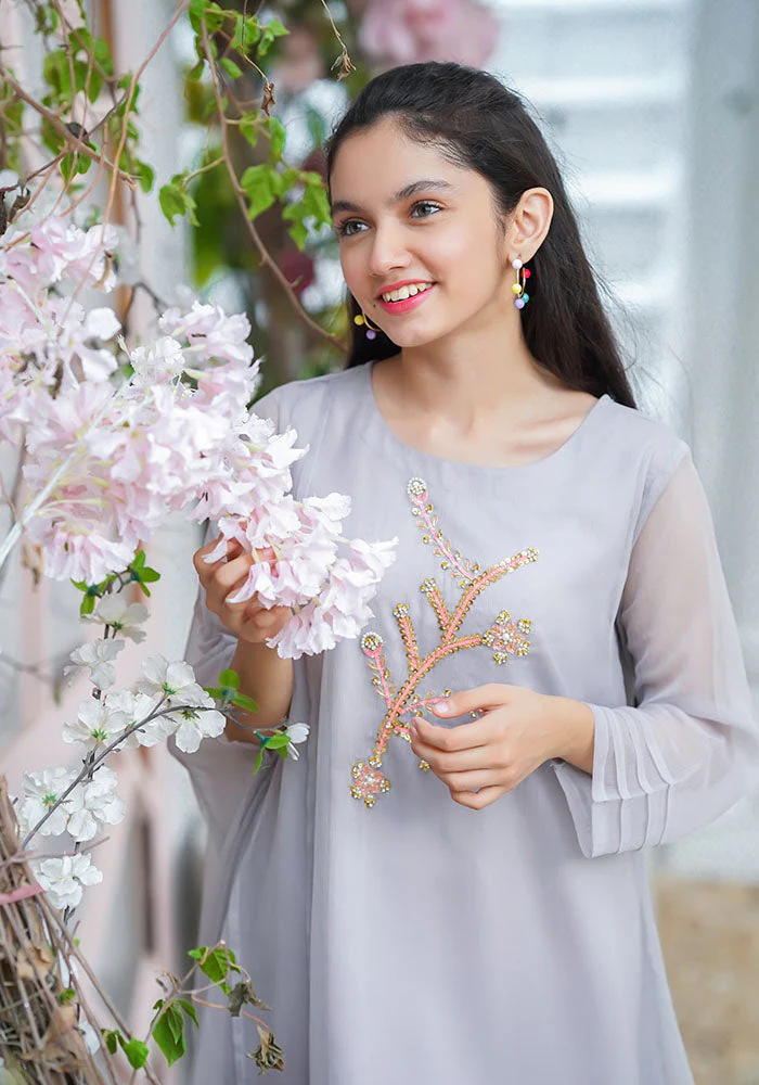 Ochre Clothing Chiffon Hand Work 2 Pc Suit - Image 2