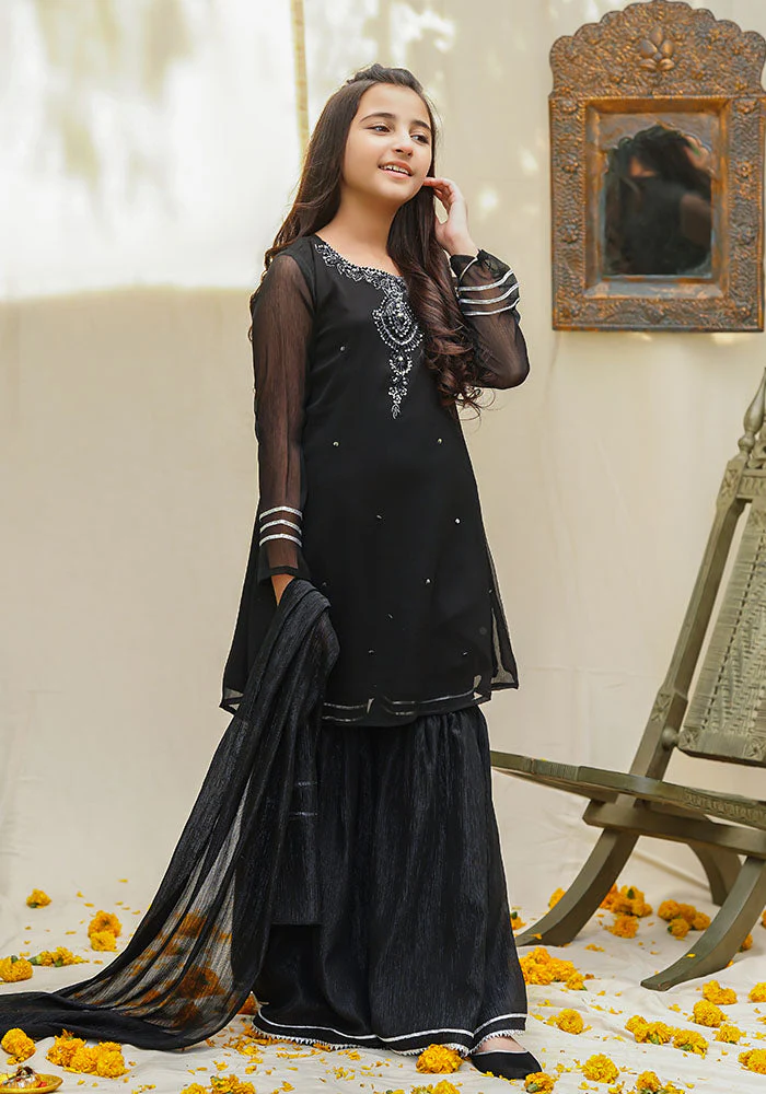 Ochre Clothing Chiffon Hand Work 3 Pc Suit - Image 2