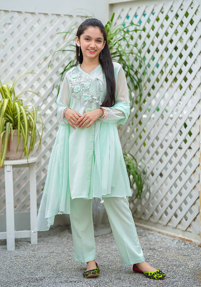 Ochre Clothing Chiffon Hand Work 3 Pc Suit