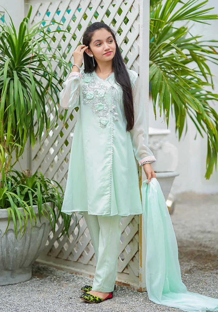 Ochre Clothing Chiffon Hand Work 3 Pc Suit - Image 2