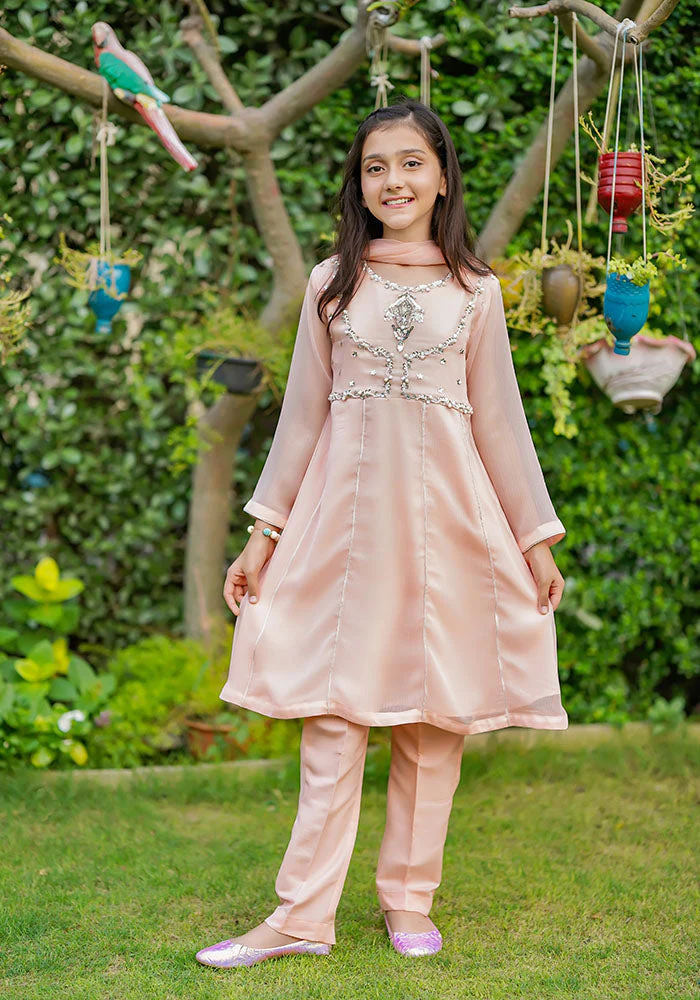 Ochre Clothing Chiffon Hand Work 3 Pc Suit - Image 5