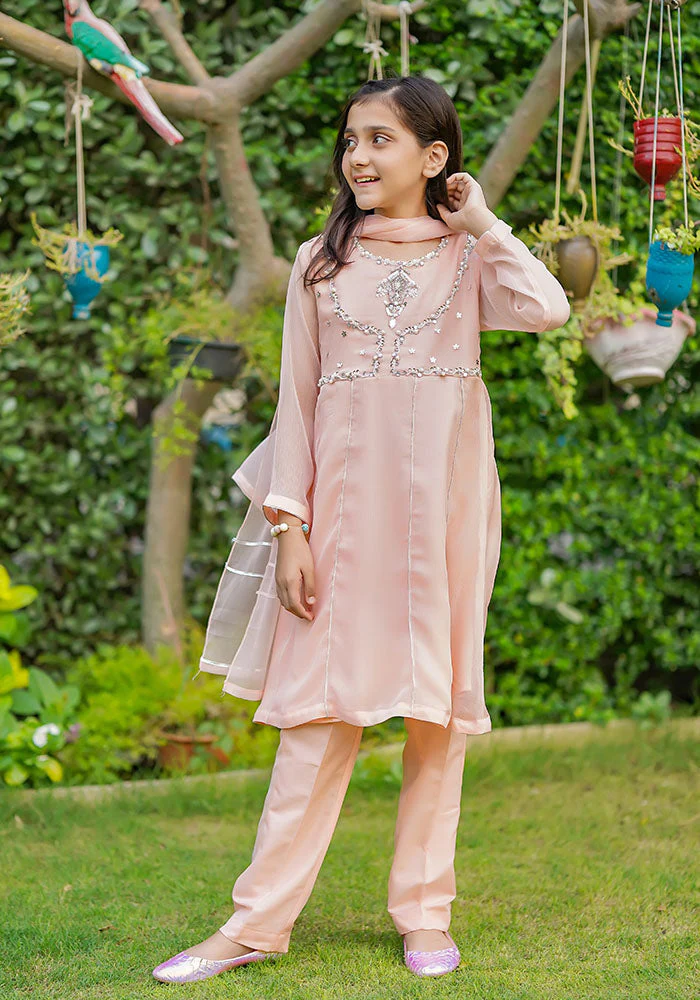 Ochre Clothing Chiffon Hand Work 3 Pc Suit - Image 7