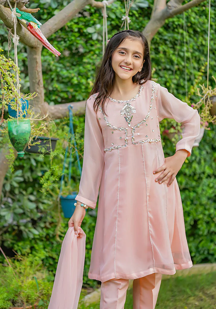 Ochre Clothing Chiffon Hand Work 3 Pc Suit - Image 8