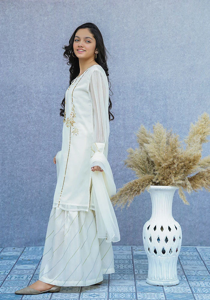 Ochre Clothing Chiffon Hand Work 3 Pc Suit - Image 5