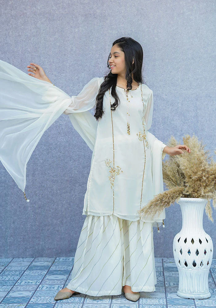 Ochre Clothing Chiffon Hand Work 3 Pc Suit - Image 6