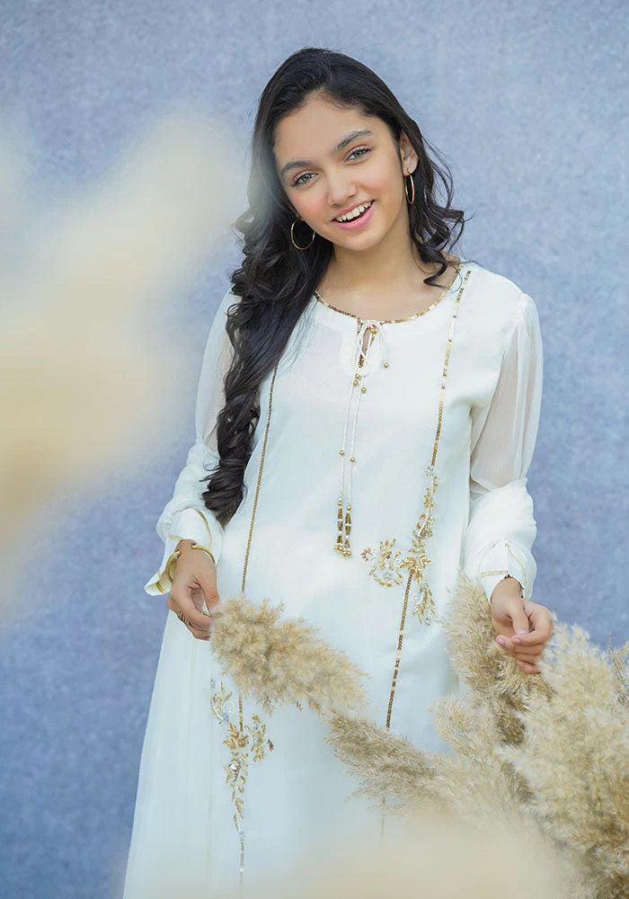Ochre Clothing Chiffon Hand Work 3 Pc Suit - Image 7