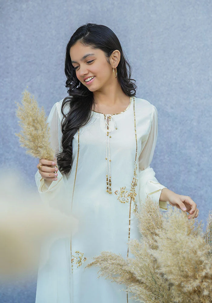 Ochre Clothing Chiffon Hand Work 3 Pc Suit - Image 8