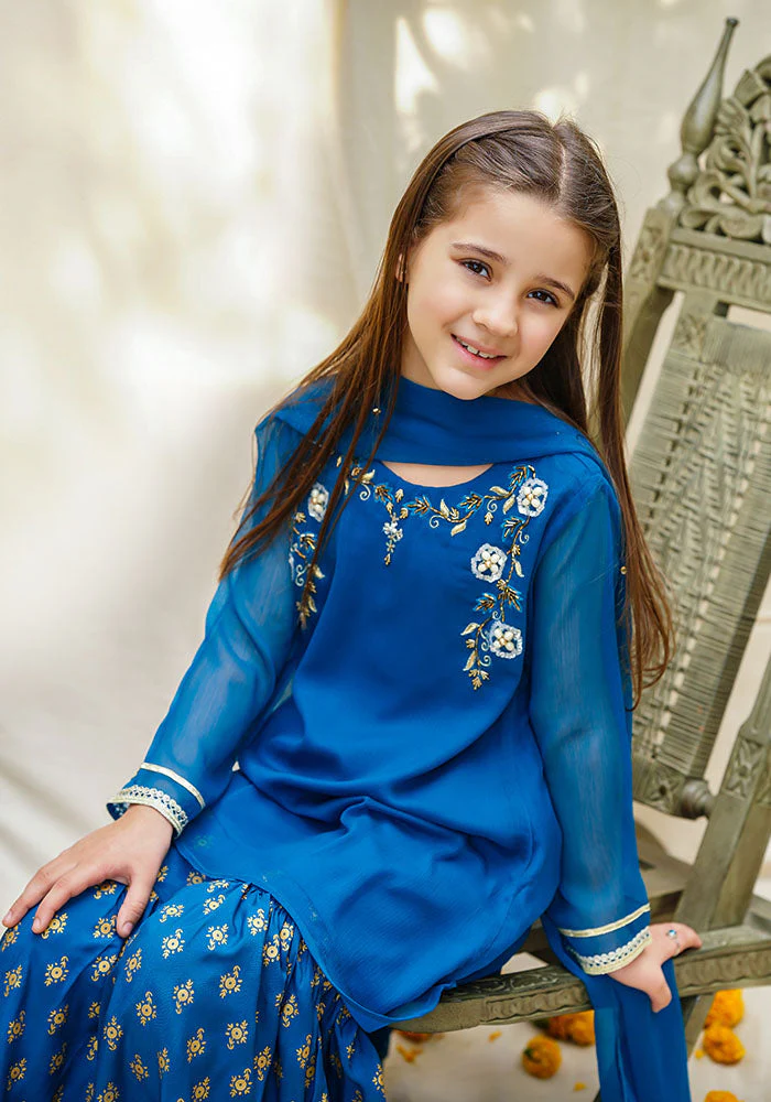 Ochre Clothing Chiffon Hand Work 3 Pc Suit - Image 3