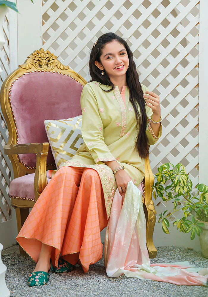 Ochre Clothing Cotton Embroidered 3 Pc Suit - Image 5