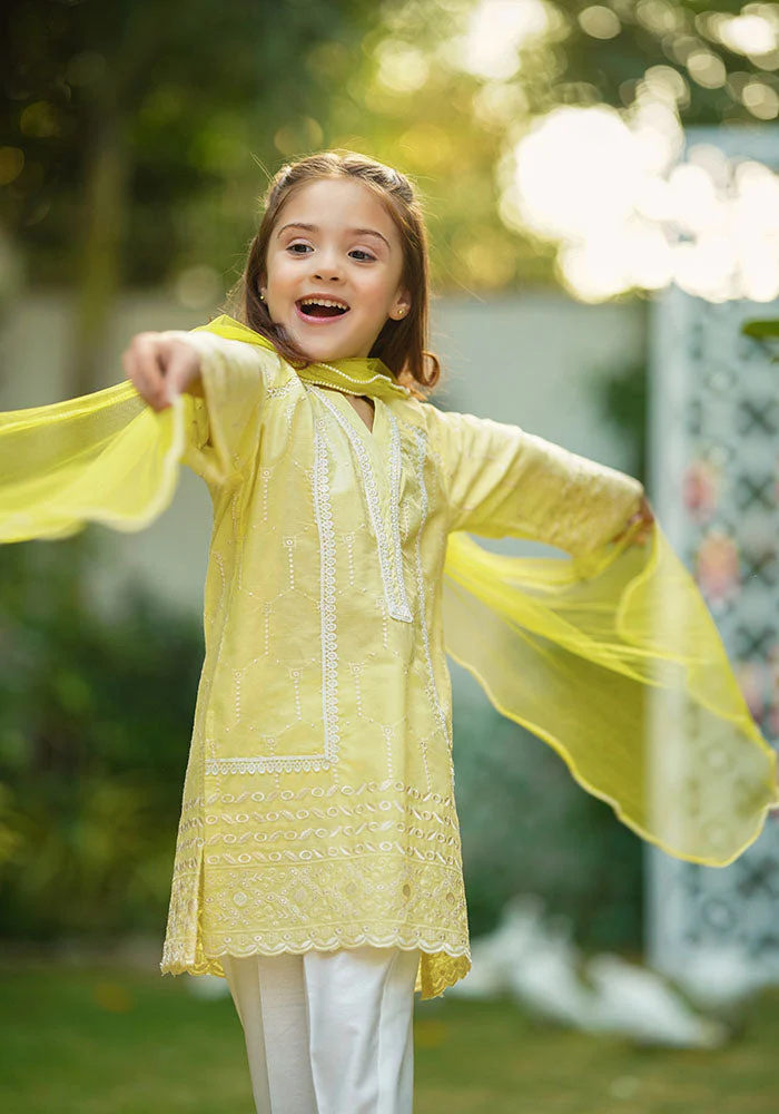 Ochre Clothing Cotton Embroidered 3 Pc Suit - Image 3