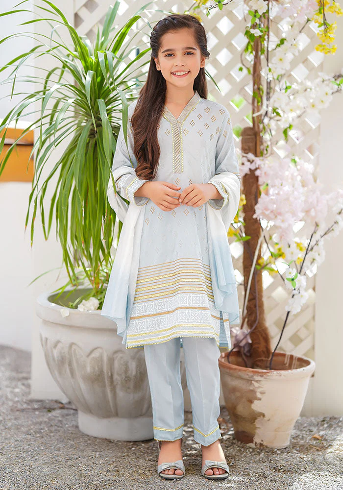 Ochre Clothing Cotton Silk Block Printed 3 Pc Suit