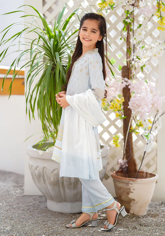 Ochre Clothing Cotton Silk Block Printed 3 Pc Suit - Image 3