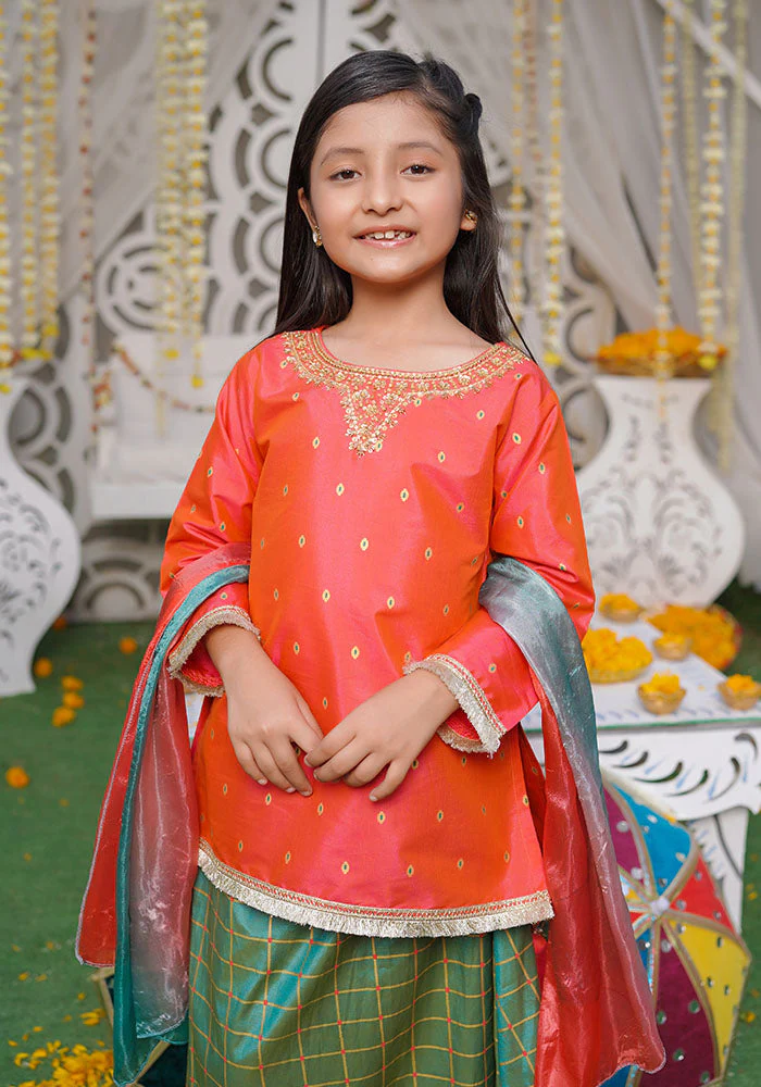 Ochre Clothing Cotton Silk Hand Adda Work 3 Pc Suit - Image 2