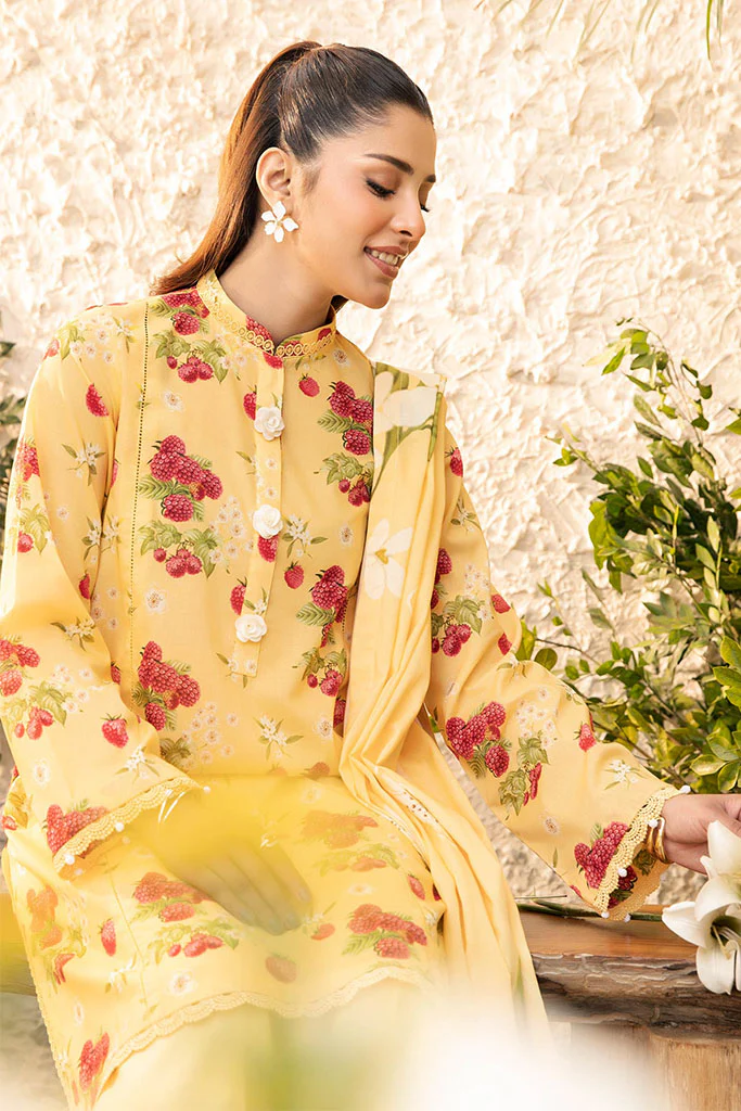 Elaheh By Mbasics Maria B Unstitched 3 Piece Printed Lawn Vol-01 Collection-MB-06 - Image 6
