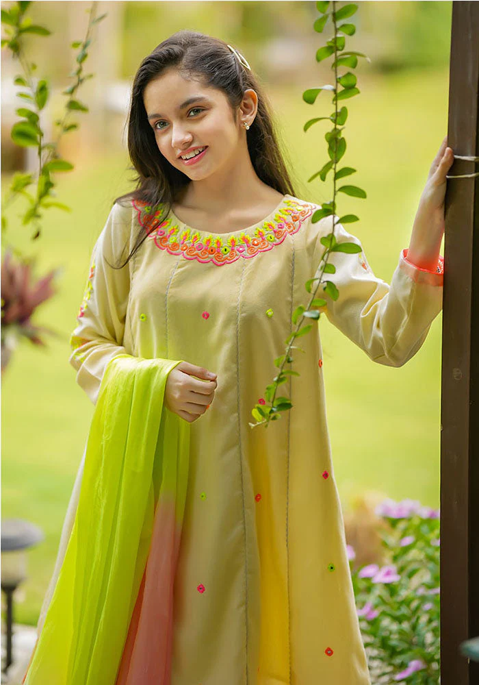 Ochre Clothing Karandi Cotton Embroidered 3 Pc Suit - Image 5