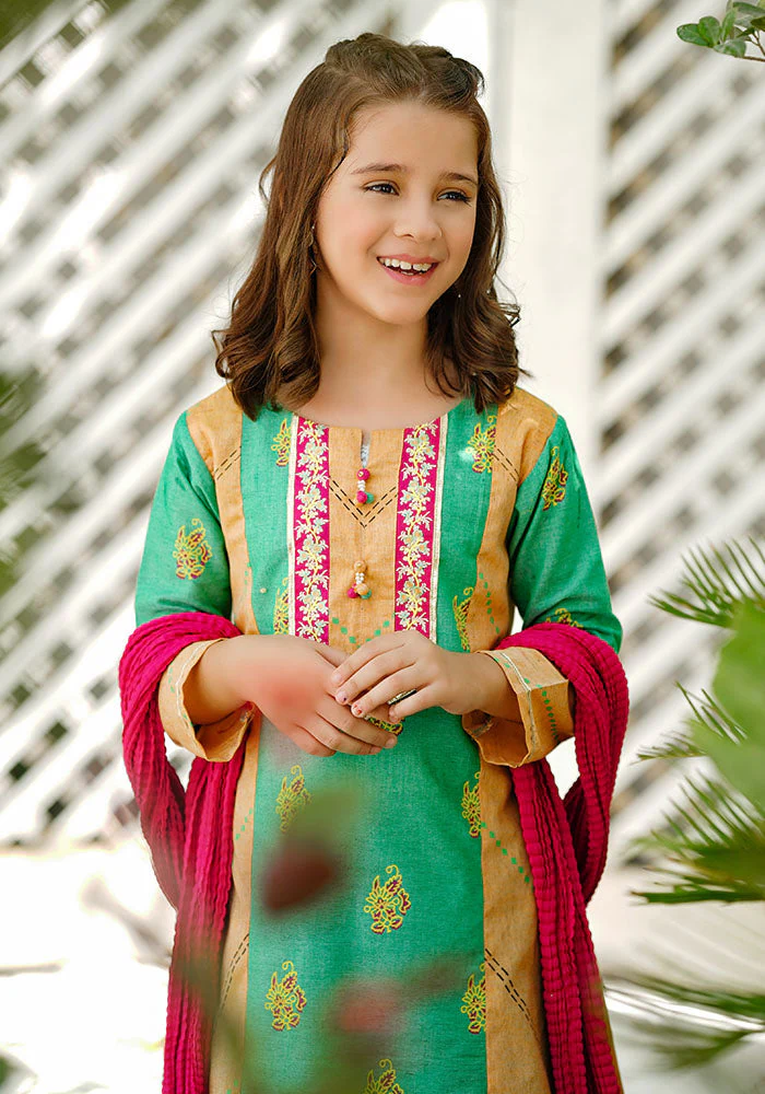 Ochre Clothing Khaddar Embroidered 3 Pc Suit - Image 6