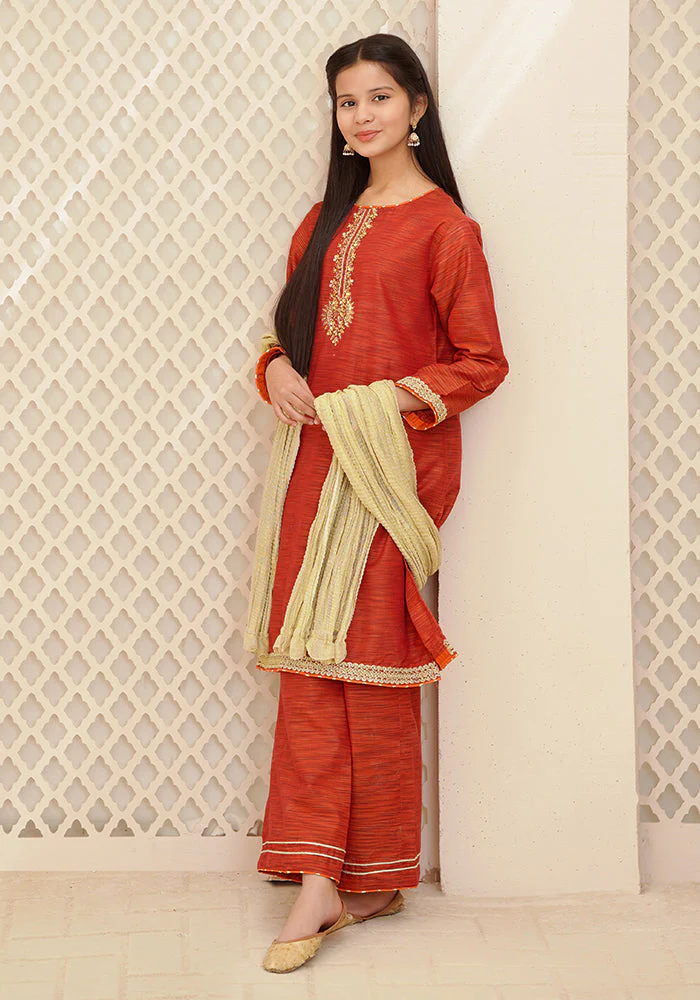 Ochre Clothing Multi Yarn Cotton Hand Adda Work 3 Pc Suit - Image 2