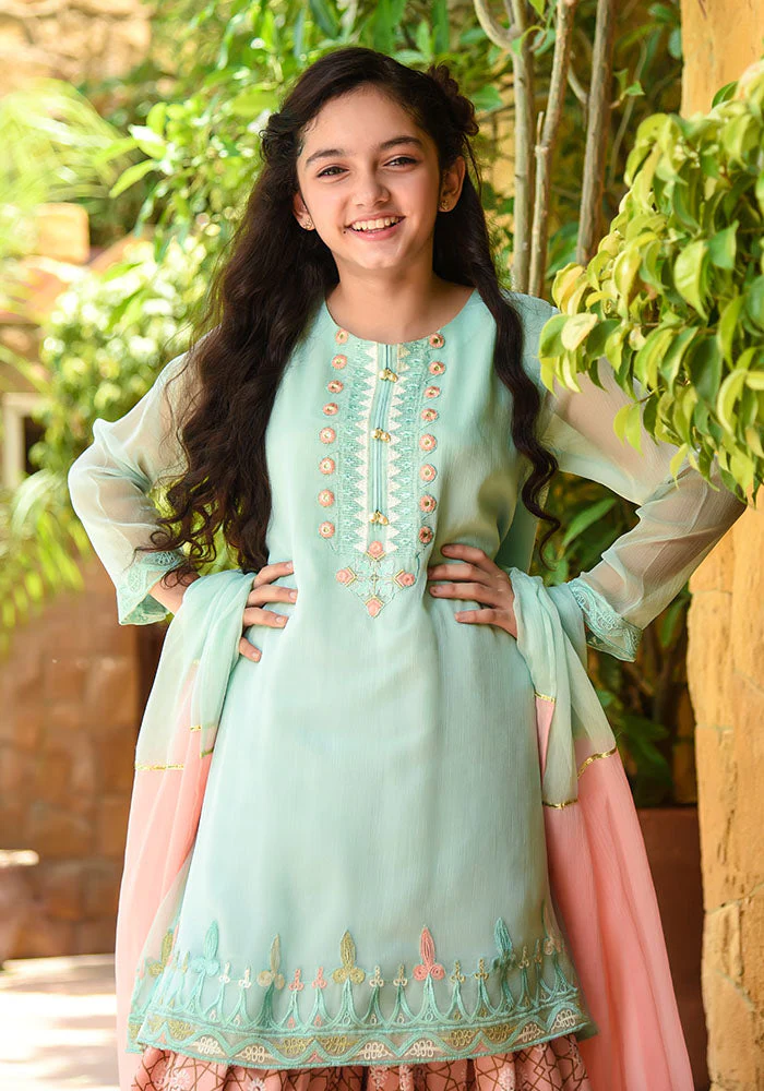 Ochre Clothing Chiffon Embroidered 3 Pc Suit - Image 6