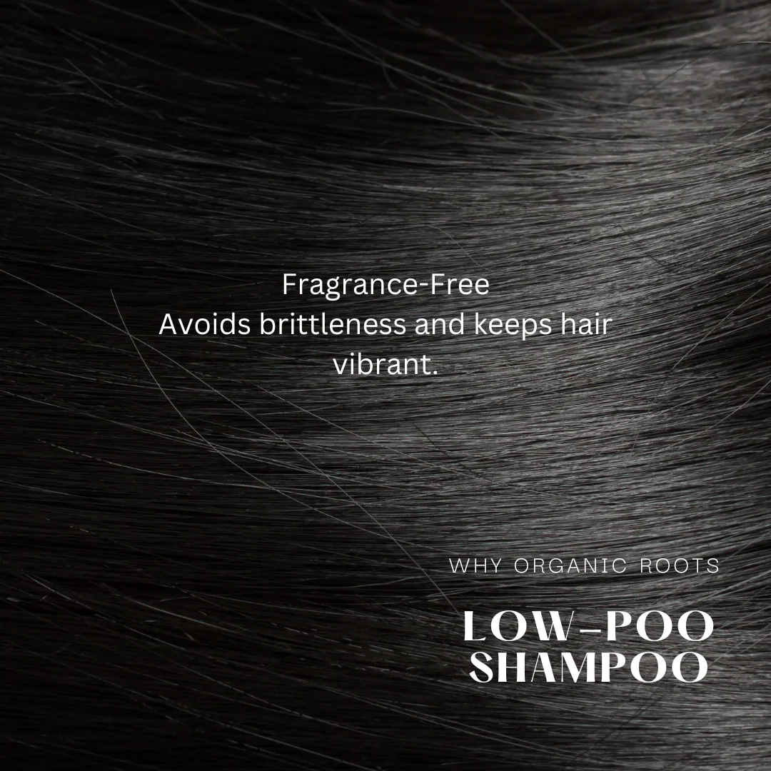 Organic Roots Natural Shampoo & Conditioner (Reetha) 300Ml - Image 8