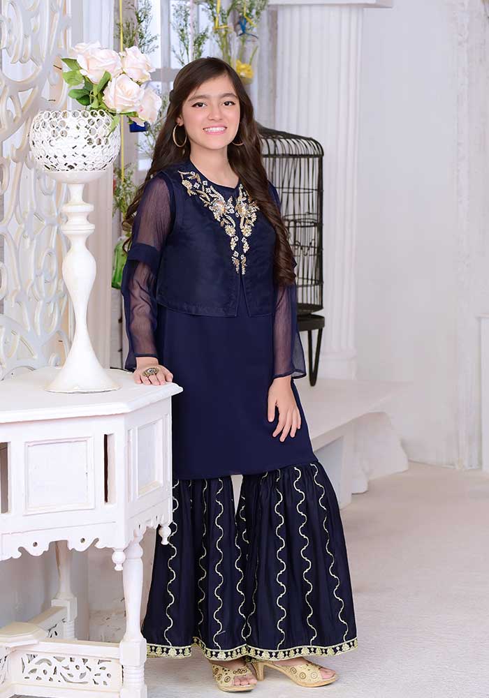 Ochre Clothing Organza Hand Adda Work 2 Pc Suit