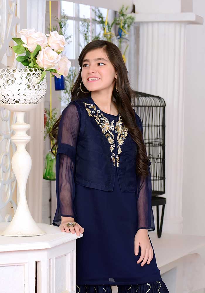 Ochre Clothing Organza Hand Adda Work 2 Pc Suit - Image 3
