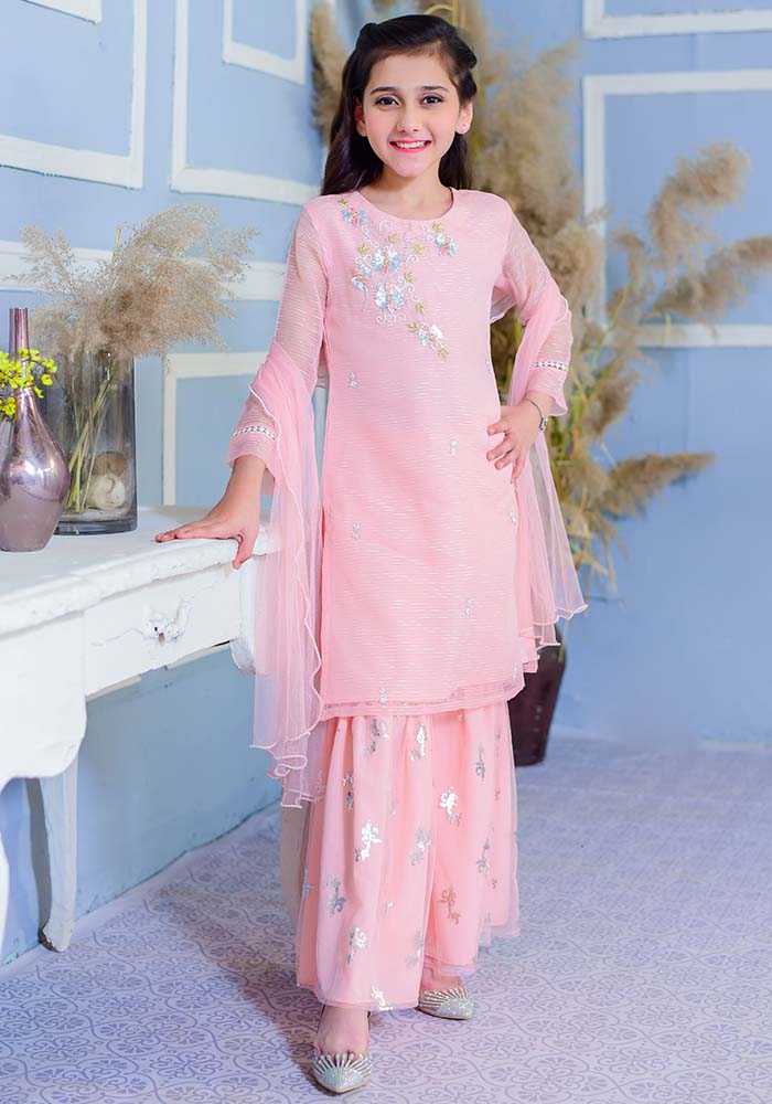 Ochre Clothing Organza Hand Work 3 Pc Suit