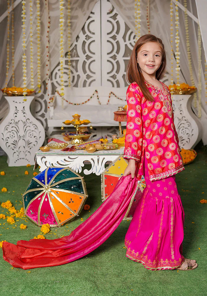 Ochre Clothing Printed Jacquard Hand Adda Work 3 Pc Suit - Image 3