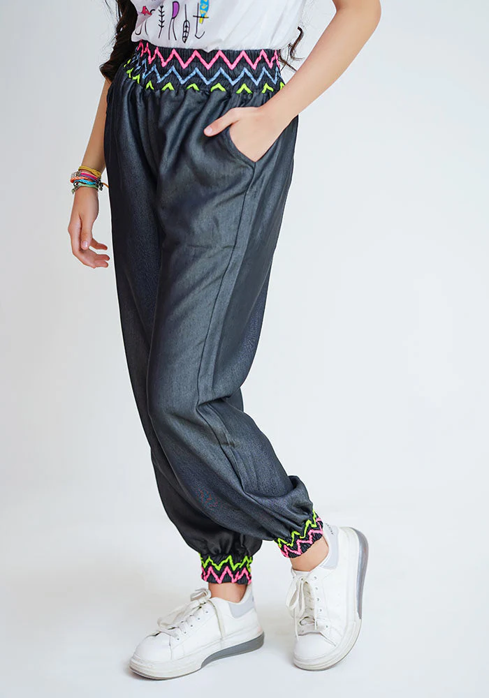Tencil Embroidered Pants - Image 4
