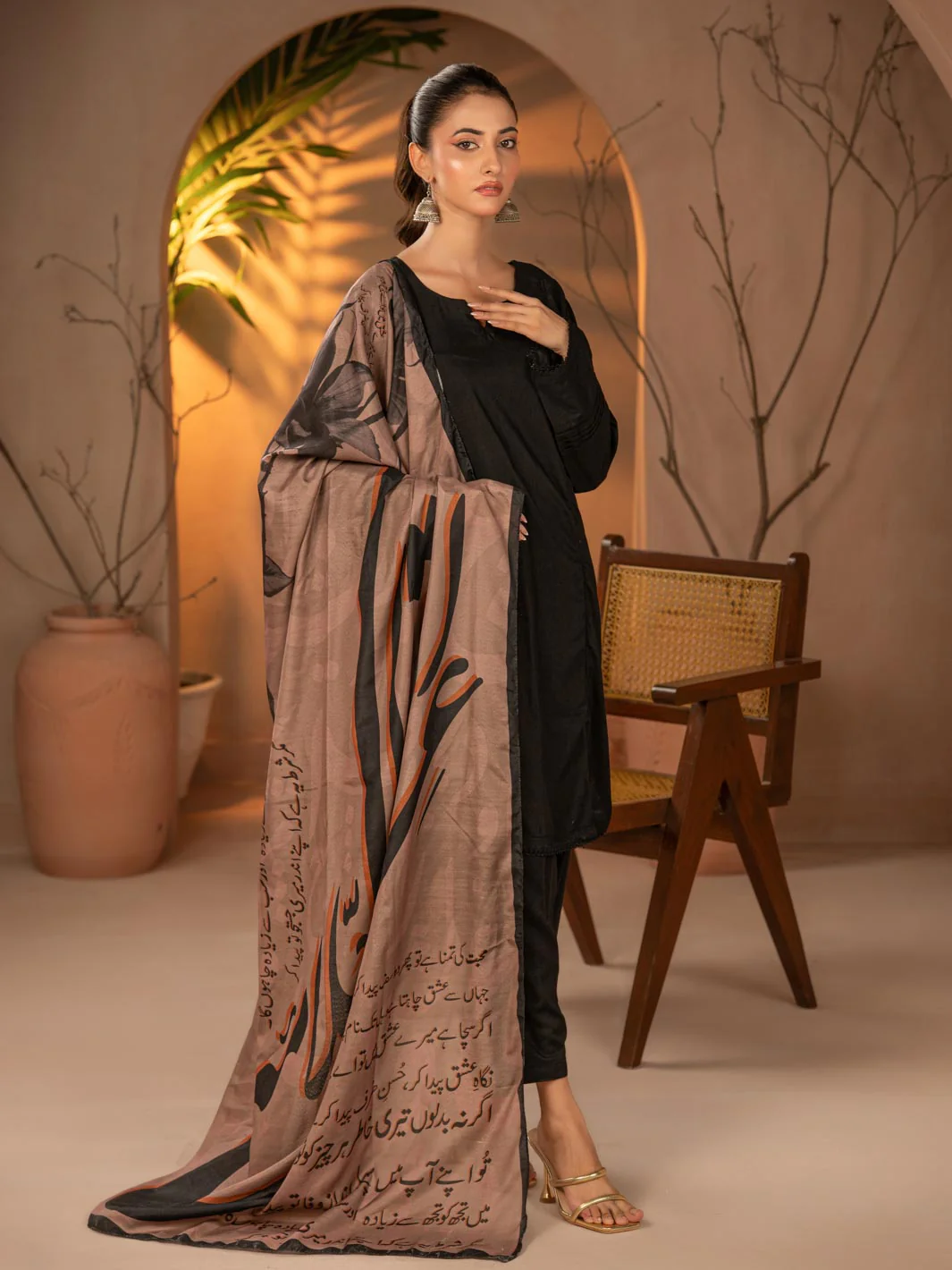 Tng By Md Odhni Collection-Shikwa Odhni (Brown) - Image 4