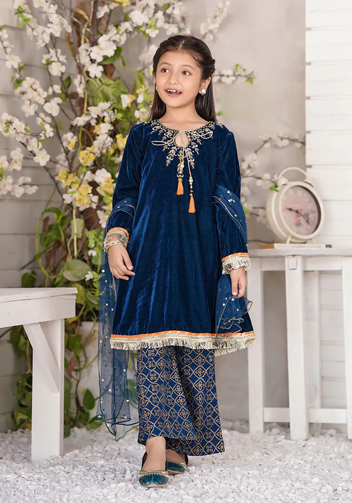 Ochre Clothing Velvet Hand Adda Work 3 Pc Suit - Image 5
