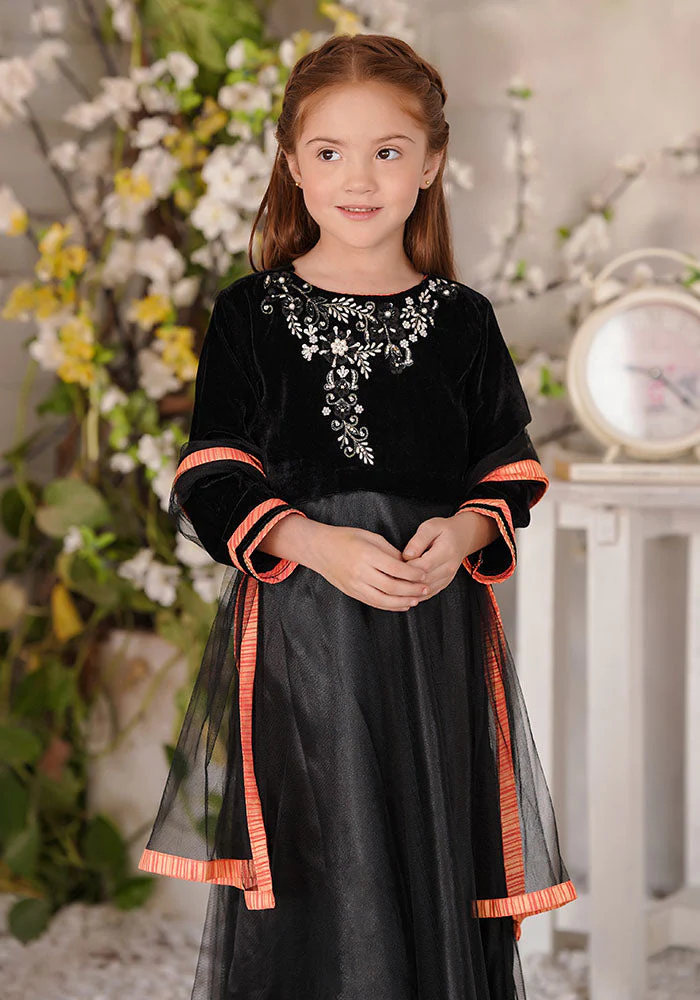 Ochre Clothing Velvet Hand Adda Work 3 Pc Suit - Image 2