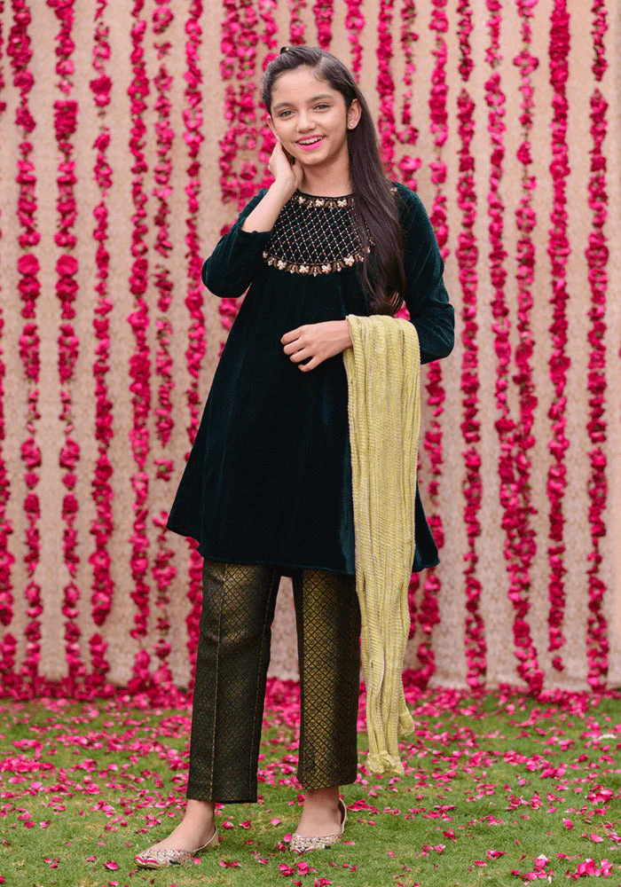 Ochre Clothing Velvet Hand Work 3 Pc Suit