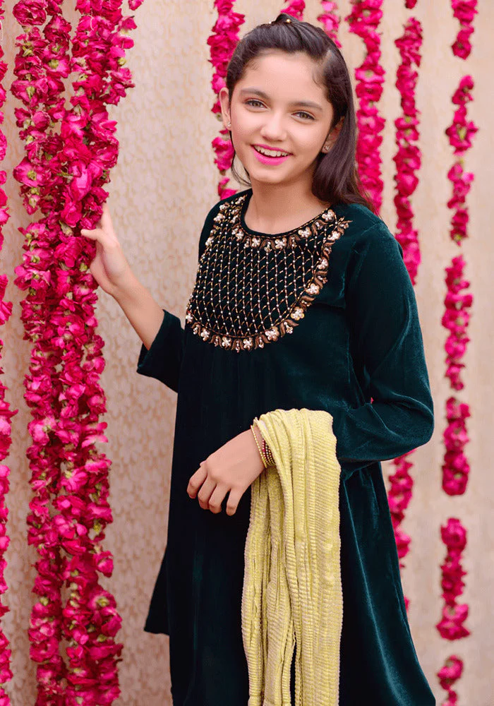 Ochre Clothing Velvet Hand Work 3 Pc Suit - Image 4
