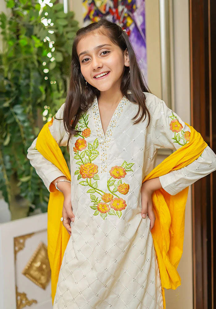 Ochre Clothing Winter Cotton Hand Work 3 Pc Suit - Image 4